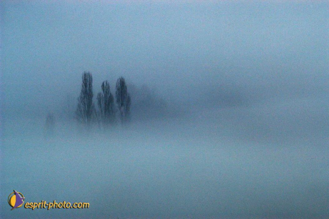 Nom de l'image : EP08-0410_(c)Norbert-JUNG — Description :